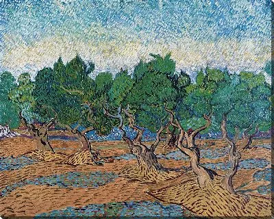 Картина Оливковая роща