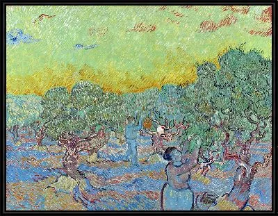 Оливковая роща с двумя сборщиками оливок