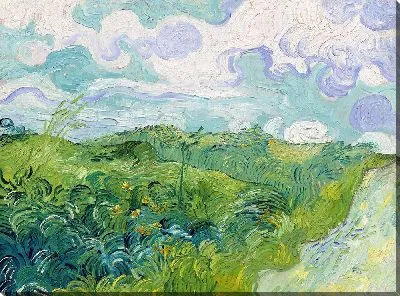 Картина Зелёные пшеничные поля, Овер