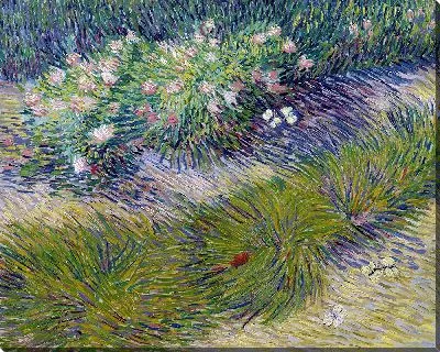 Картина Трава и бабочки