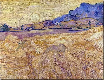 Картина Пшеничное поле с жаткой