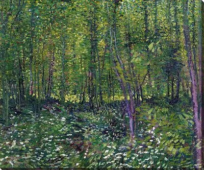 Картина Деревья и подлесок