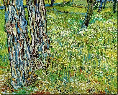 Картина Стволы деревьев в траве