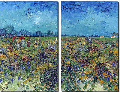 Картина Зеленый виноградник