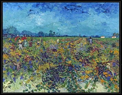 Зеленый виноградник