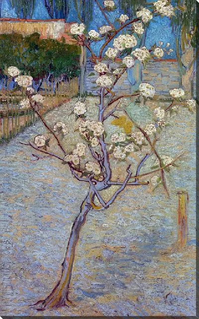 Картина Небольшое грушевое дерево в цвету