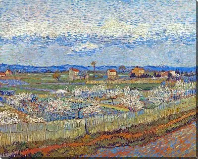 Картина Персиковые деревья в цвету