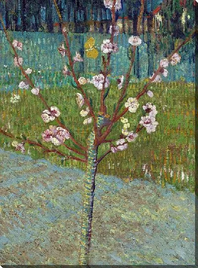 Картина Персиковое дерево в цвету