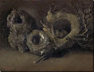 Картина Птичьи гнезда