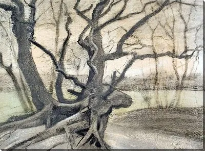 Картина Корни деревьев в песчаной почве