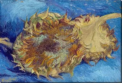 Картина Подсолнухи 10