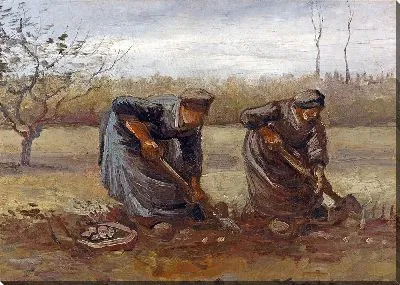 Крестьянки копают картофель