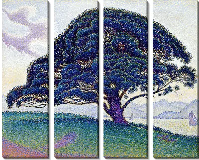 Картина Сосна Бонавентура (1893)