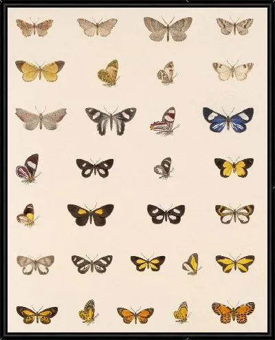 Картина Винтажные баочки (1879-1915) №356