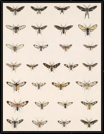 Картина Винтажные баочки (1879-1915) №370