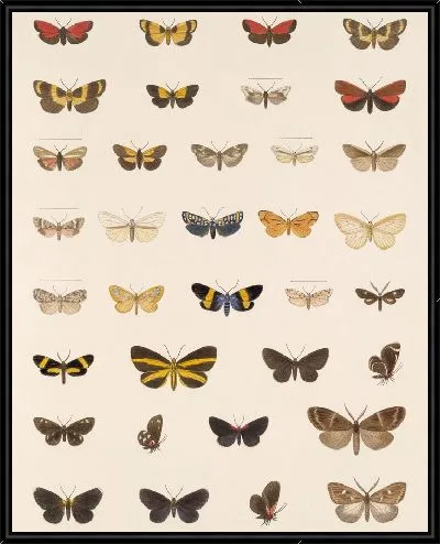 Картина Винтажные баочки (1879-1915) №377