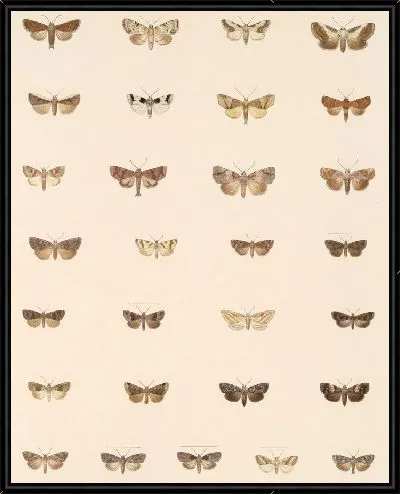 Картина Винтажные баочки (1879-1915) №394