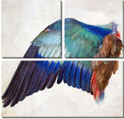 Картина Крыло ролика