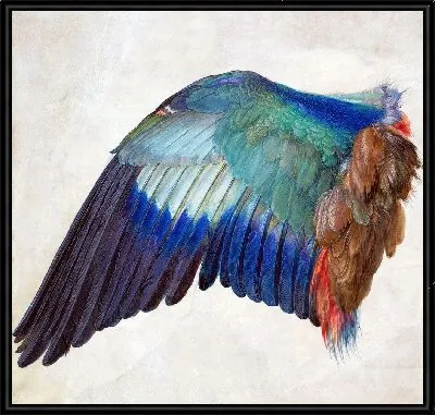 Крыло ролика