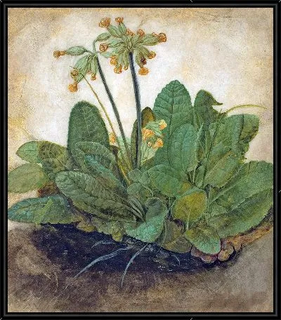 Пучок первоцветов