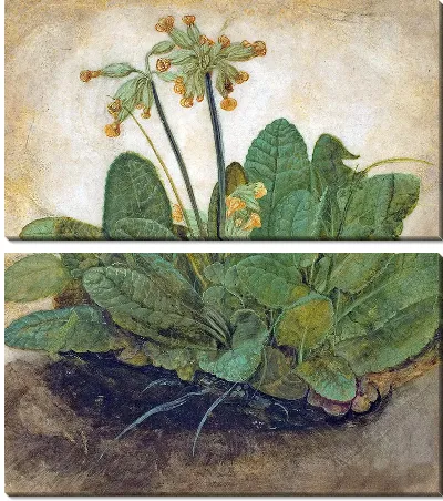 Пучок первоцветов