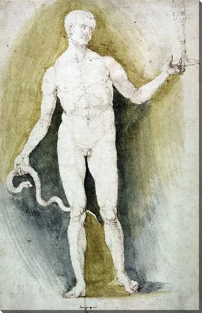 Картина Обнаженный со стеклом и змеей