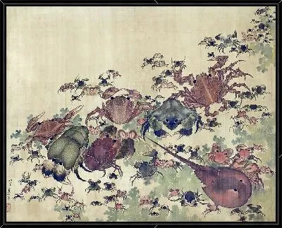 Ракообразные