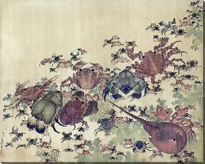 Ракообразные