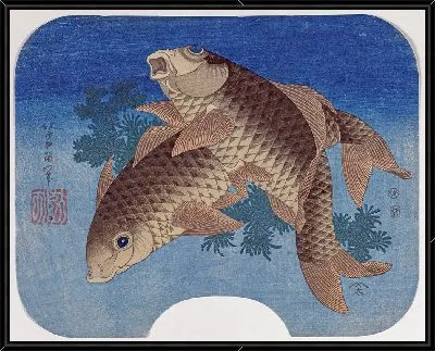 Карп, плавающий среди водорослей