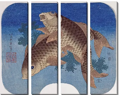 Карп, плавающий среди водорослей