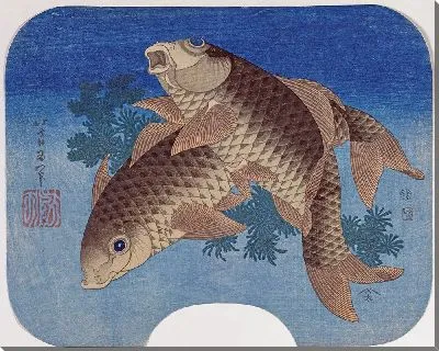 Карп, плавающий среди водорослей