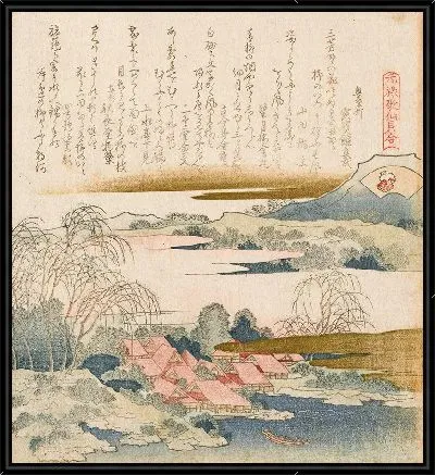 Парчовая ракушка