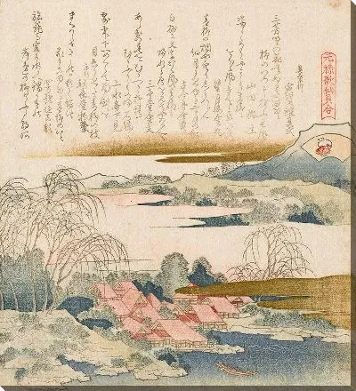 Парчовая ракушка