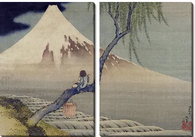 Картина Мальчик смотрит на гору Фудзи