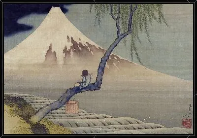 Мальчик смотрит на гору Фудзи