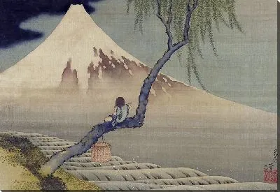 Мальчик смотрит на гору Фудзи