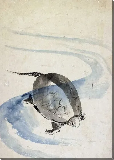 Картина Черепаха