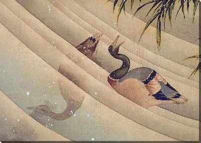 Пара уток в воде