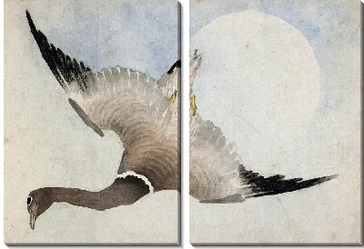 Гусь летит на фоне луны