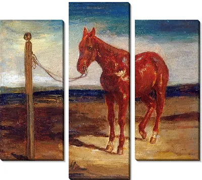 Лошадь, привязанная к столбу