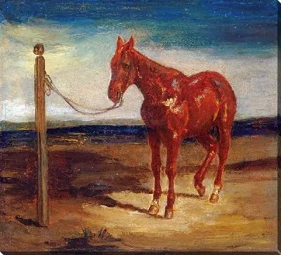 Лошадь, привязанная к столбу