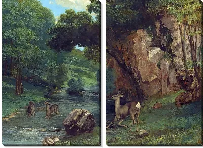 Косуля у ручья