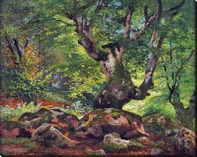 Картина Закрытые леса