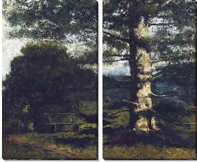 Картина Кедровое дерево в Отвиле