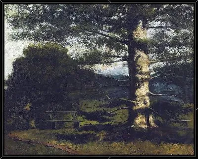 Кедровое дерево в Отвиле