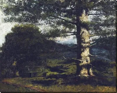 Кедровое дерево в Отвиле