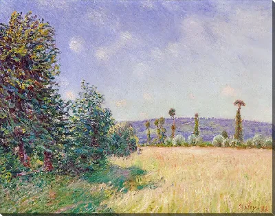 картина