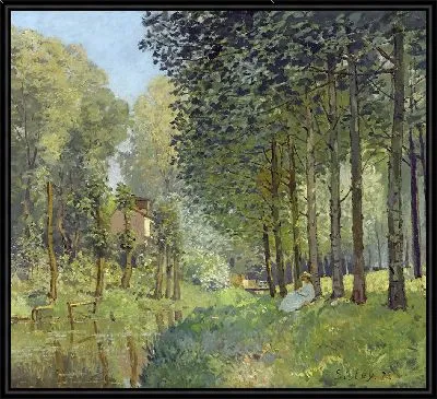 Отдых вдоль ручья. Опушка леса.