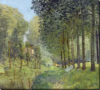 Отдых вдоль ручья. Опушка леса.