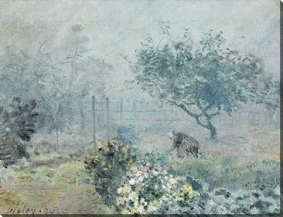 Туман, Соседи